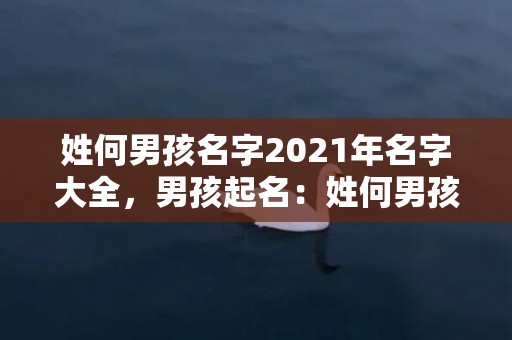 姓何男孩名字2021年名字大全，男孩起名：姓何男孩霸气时尚的名字大全