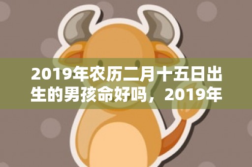 2019年农历二月十五日出生的男孩命好吗，2019年农历二月二十出生的双胞胎男孩怎么样起名字，五行属什么