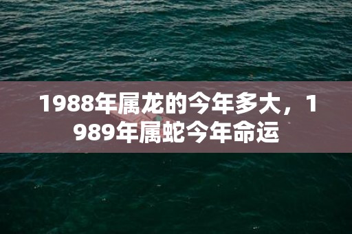 1988年属龙的今年多大，1989年属蛇今年命运