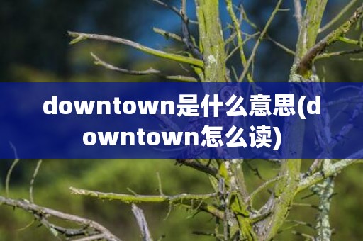 downtown是什么意思(downtown怎么读)