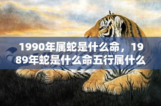 1990年属蛇是什么命，1989年蛇是什么命五行属什么