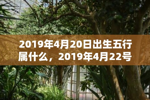 2019年4月20日出生五行属什么，2019年4月22号出生的女孩起什么名字比较好，五行属什么