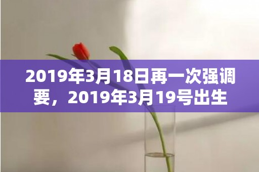 2019年3月18日再一次强调要，2019年3月19号出生的双胞胎男孩起什么名字比较好，五行属什么