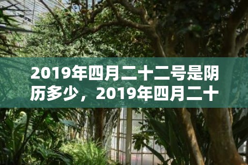 2019年四月二十二号是阴历多少，2019年四月二十九出生的双胞胎男孩如何起名字，五行属什么