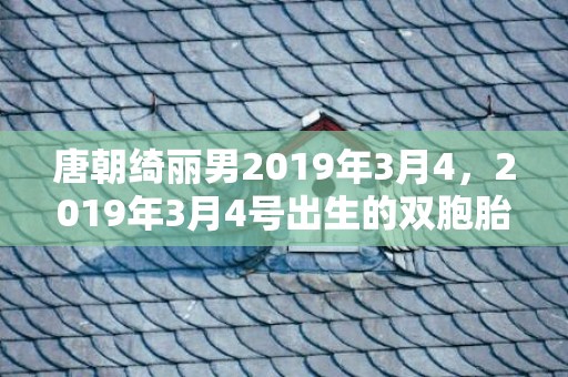 唐朝绮丽男2019年3月4，2019年3月4号出生的双胞胎男孩起什么名字比较好，五行属什么