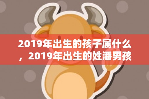 2019年出生的孩子属什么，2019年出生的姓潘男孩如何起名，宜用什么字