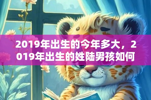 2019年出生的今年多大，2019年出生的姓陆男孩如何起名，宜用什么字