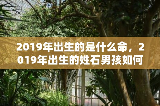 2019年出生的是什么命，2019年出生的姓石男孩如何起名，宜用什么字