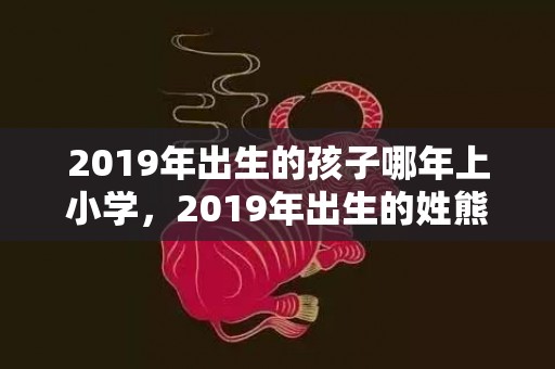 2019年出生的孩子哪年上小学，2019年出生的姓熊男孩如何起名，宜用什么字