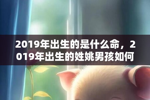 2019年出生的是什么命，2019年出生的姓姚男孩如何起名，宜用什么字