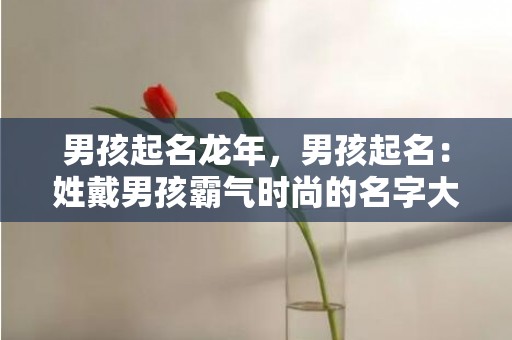 男孩起名龙年，男孩起名：姓戴男孩霸气时尚的名字大全