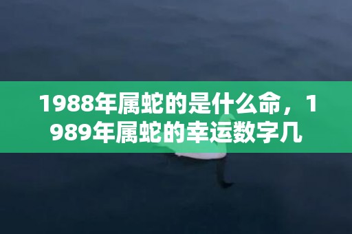 1988年属蛇的是什么命，1989年属蛇的幸运数字几