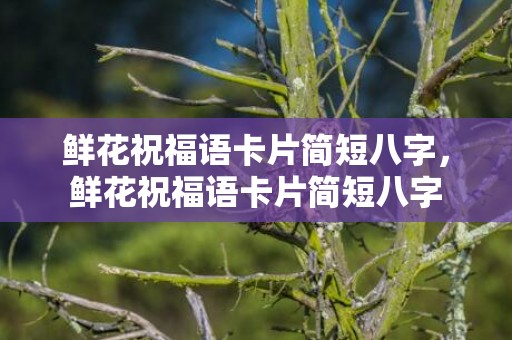 鲜花祝福语卡片简短八字，鲜花祝福语卡片简短八字