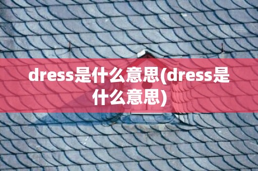 dress是什么意思(dress是什么意思)