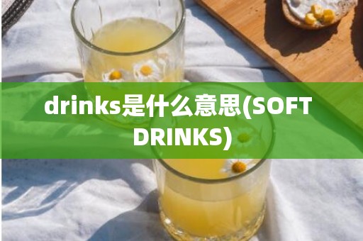 drinks是什么意思(SOFT DRINKS)