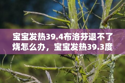 宝宝发热39.4布洛芬退不了烧怎么办，宝宝发热39.3度怎么办