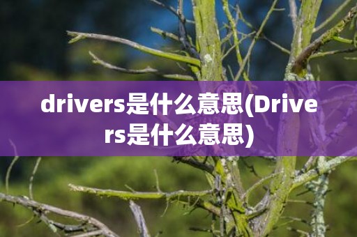 drivers是什么意思(Drivers是什么意思)