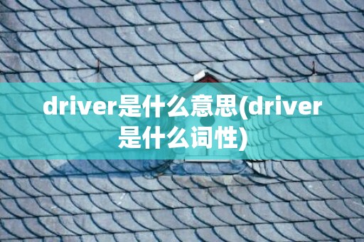 driver是什么意思(driver是什么词性)