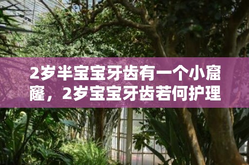 2岁半宝宝牙齿有一个小窟窿，2岁宝宝牙齿若何护理