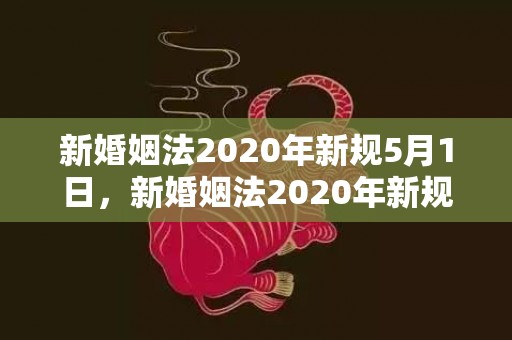 新婚姻法2020年新规5月1日，新婚姻法2020年新规离婚债务承担