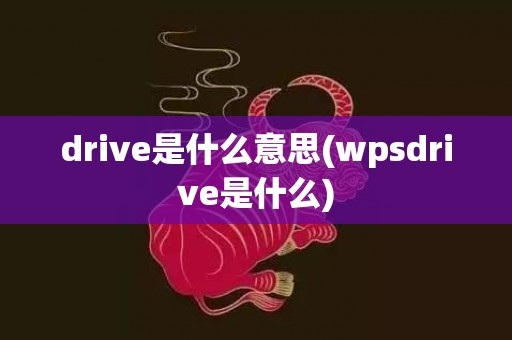 drive是什么意思(wpsdrive是什么)