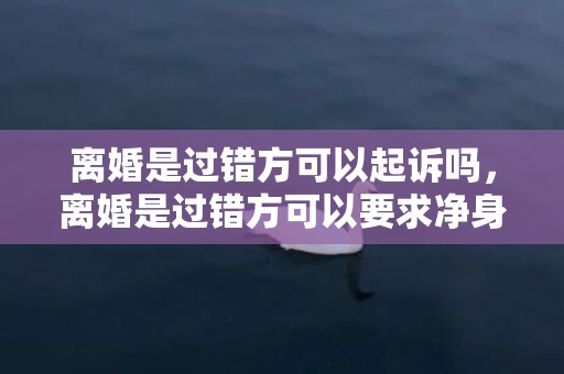 离婚是过错方可以起诉吗，离婚是过错方可以要求净身出户吗 净身出户还给抚养费吗