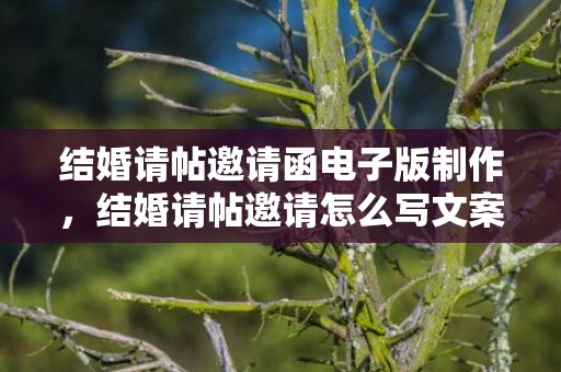 结婚请帖邀请函电子版制作，结婚请帖邀请怎么写文案范文大全