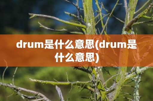 drum是什么意思(drum是什么意思)