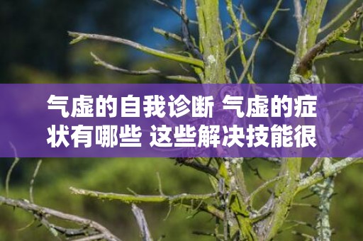 气虚的自我诊断 气虚的症状有哪些 这些解决技能很主要