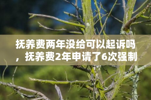 抚养费两年没给可以起诉吗，抚养费2年申请了6次强制执行会影响孩子吗？申请强制执行几天立案