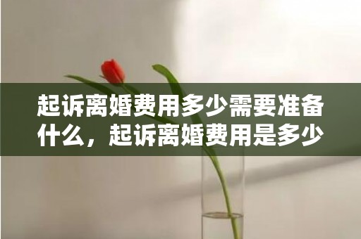 起诉离婚费用多少需要准备什么，起诉离婚费用是多少请律师要多少费用