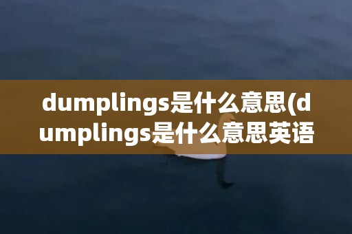 dumplings是什么意思(dumplings是什么意思英语)