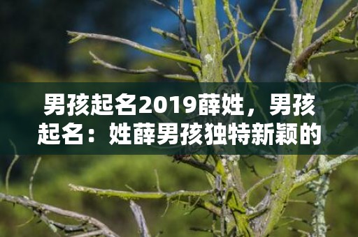 男孩起名2019薛姓，男孩起名：姓薛男孩独特新颖的名字