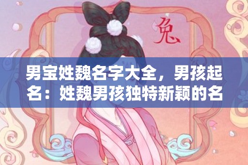 男宝姓魏名字大全，男孩起名：姓魏男孩独特新颖的名字