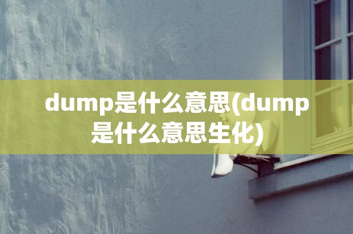 dump是什么意思(dump是什么意思生化)