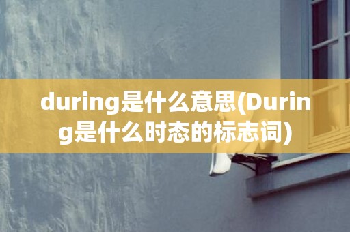 during是什么意思(During是什么时态的标志词)