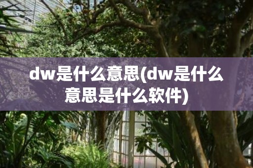 dw是什么意思(dw是什么意思是什么软件)