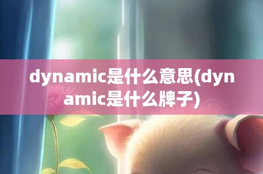 dynamic是什么意思(dynamic是什么牌子)