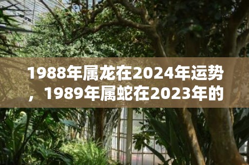 1988年属龙在2024年运势，1989年属蛇在2023年的运势