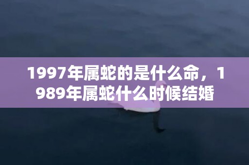 1997年属蛇的是什么命，1989年属蛇什么时候结婚