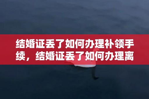 结婚证丢了如何办理补领手续，结婚证丢了如何办理离婚证手续流程，离婚证丢失再婚需要什么手续