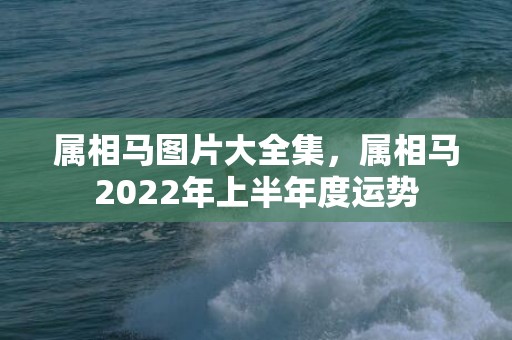 属相马图片大全集，属相马2022年上半年度运势