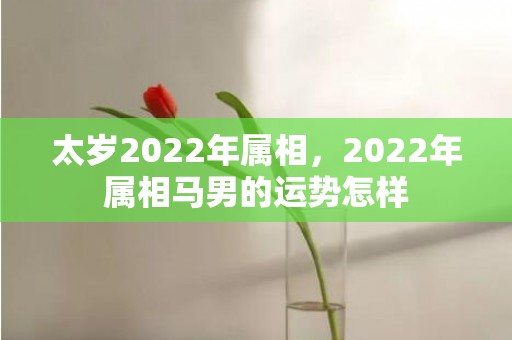 太岁2022年属相，2022年属相马男的运势怎样