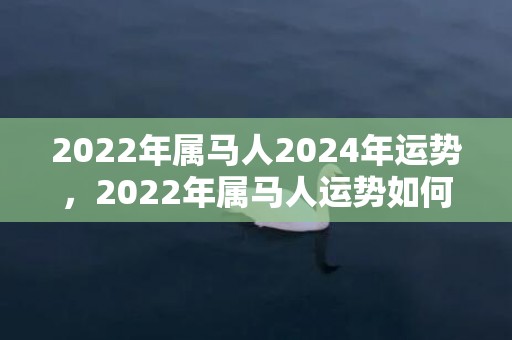 2022年属马人2024年运势，2022年属马人运势如何