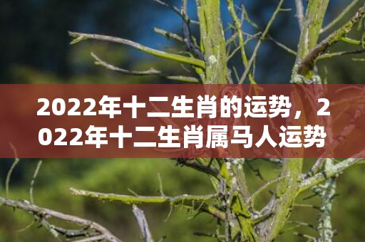 2022年十二生肖的运势，2022年十二生肖属马人运势，看看你壬寅年运势怎样？