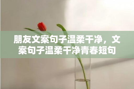 朋友文案句子温柔干净，文案句子温柔干净青春短句