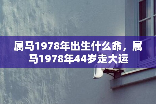 属马1978年出生什么命，属马1978年44岁走大运