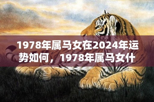 1978年属马女在2024年运势如何，1978年属马女什么时候运程变好