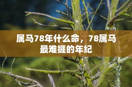 属马78年什么命，78属马最难捱的年纪