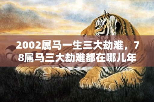 2002属马一生三大劫难，78属马三大劫难都在哪儿年